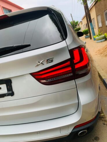 BMW X-FIV